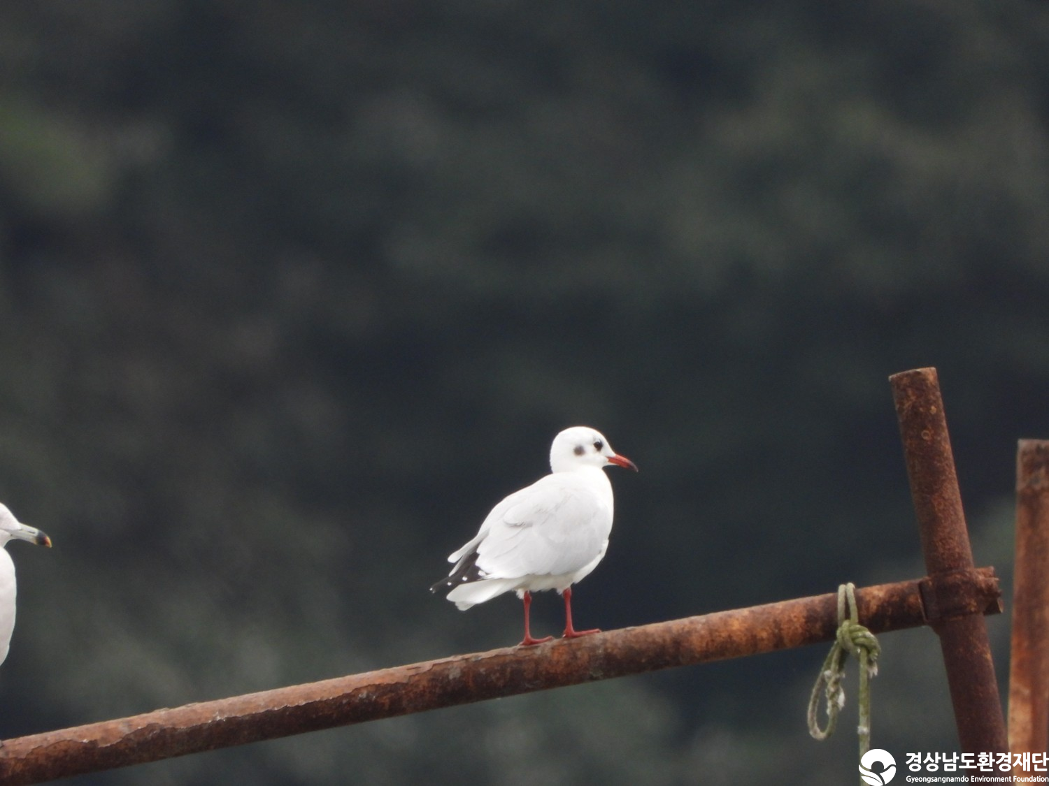 [마동호] 습지 생태계 변화 조사-2025. 10.