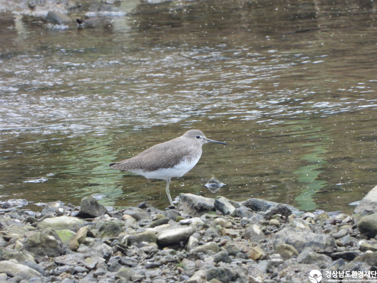 [마동호] 습지 생태계 변화 조사-2025. 10.