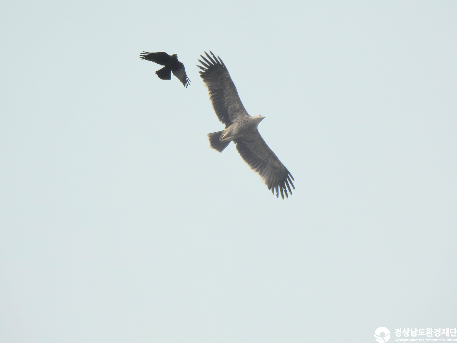 [화포천습지] 습지 생태계 변화 조사-2025. 10.