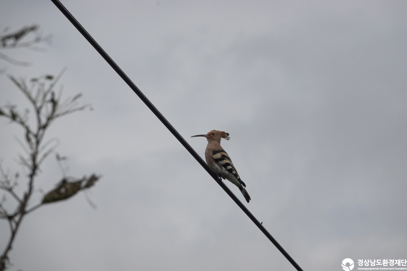 [우포늪] 습지 생태계 변화 조사-2025. 10.