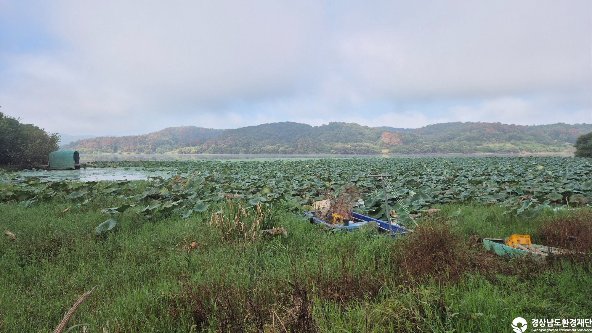 [번개지/장척지] 습지 생태계 변화 조사-2025. 10.
