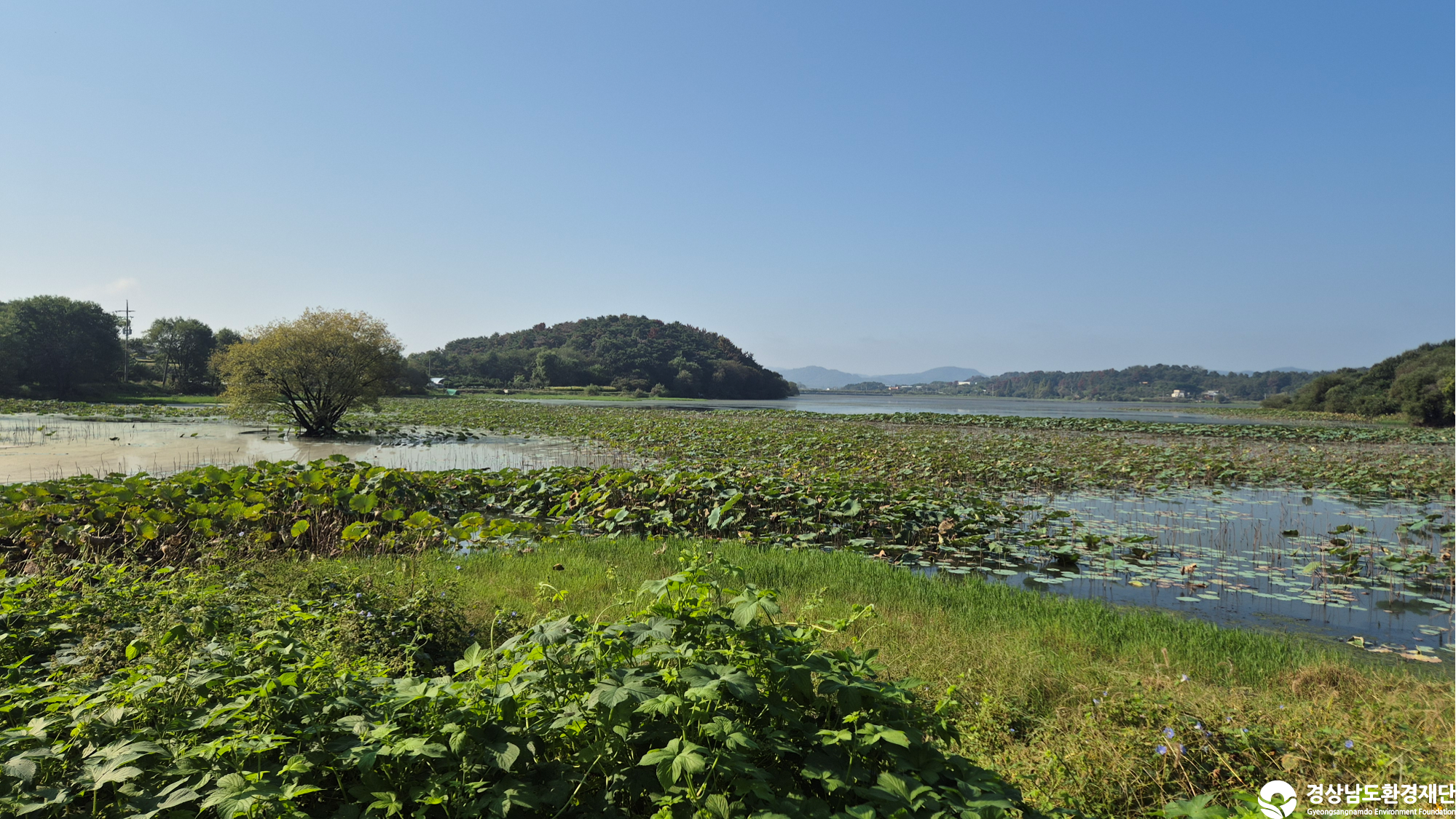 [번개지/장척지] 습지 생태계 변화 조사-2025. 10.