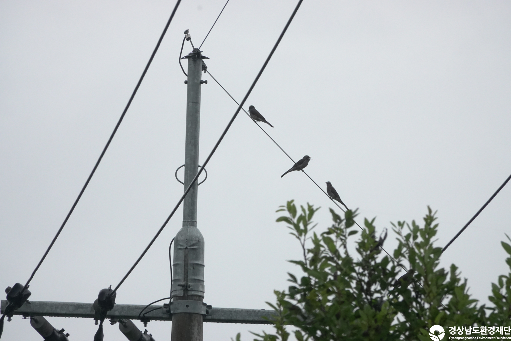 [대봉늪] 습지 생태계 변화 조사-2025. 10.