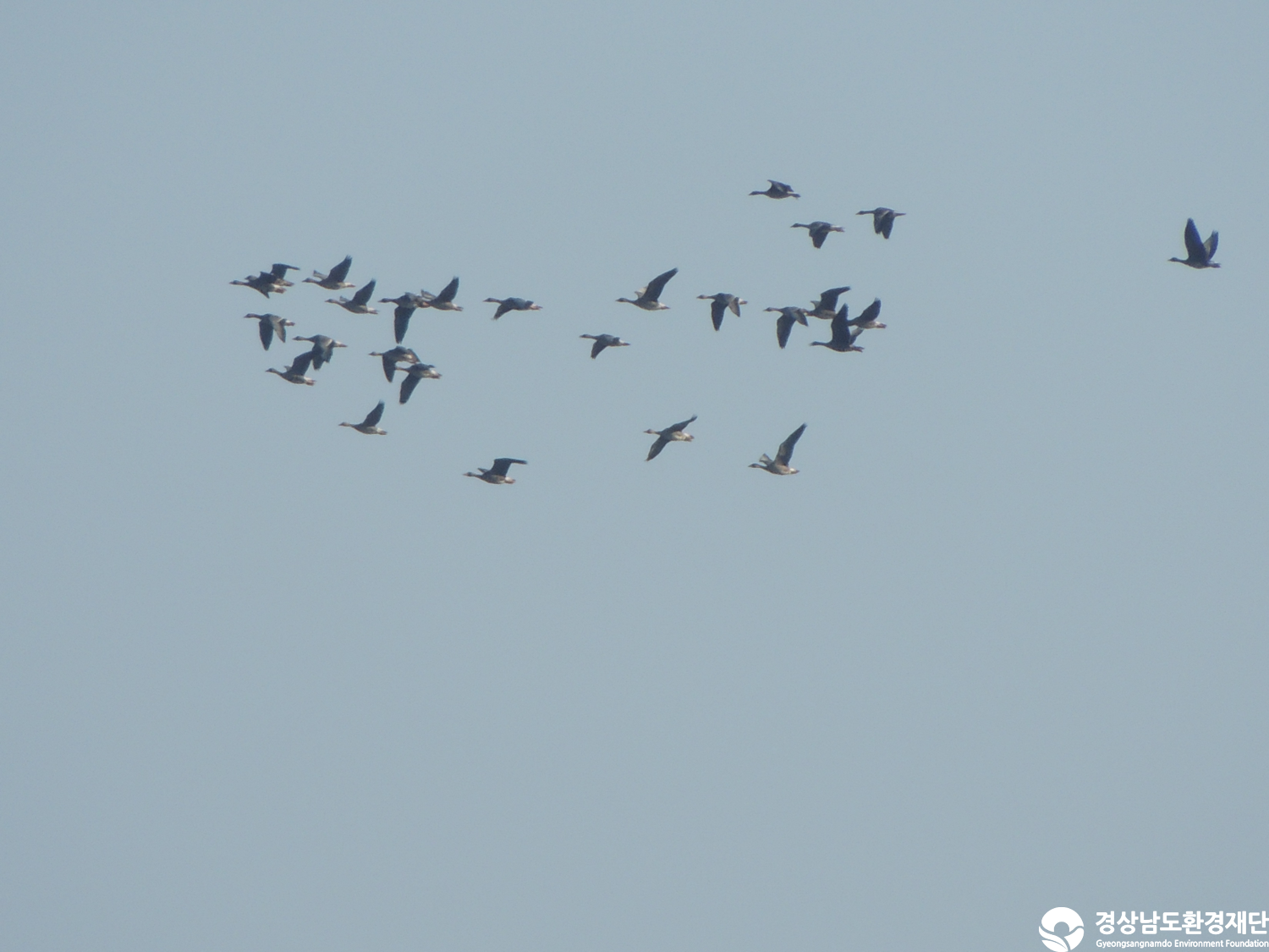 [주남저수지] 습지 생태계 변화 조사-2025. 10.