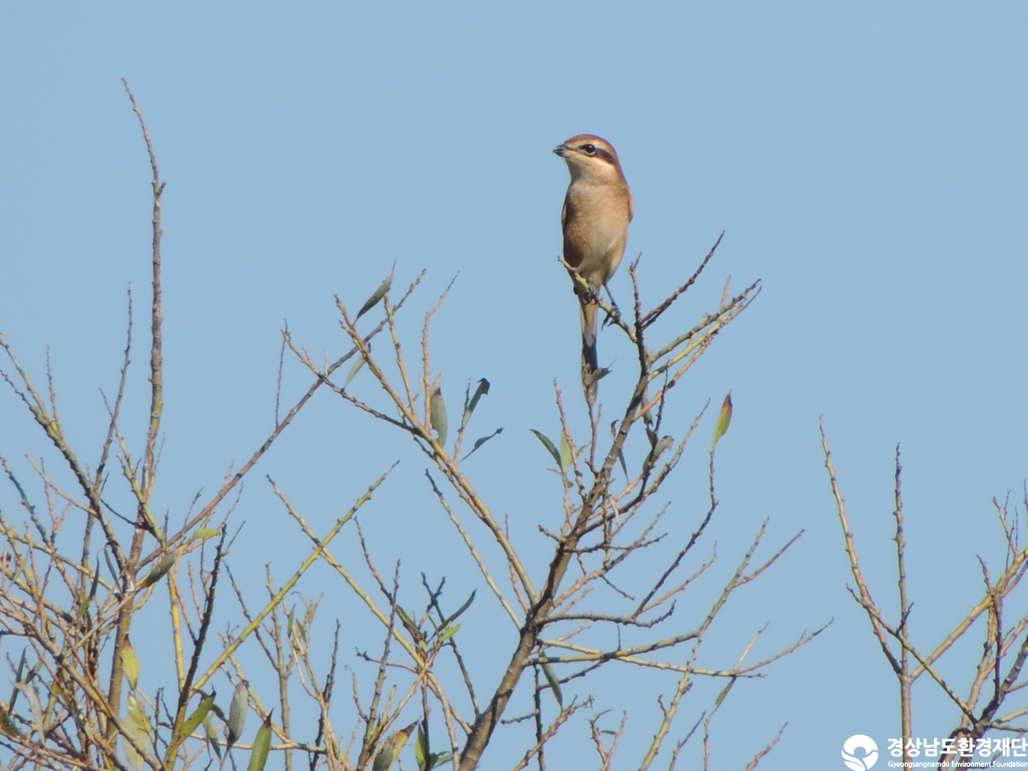 [주남저수지] 습지 생태계 변화 조사-2025. 10.
