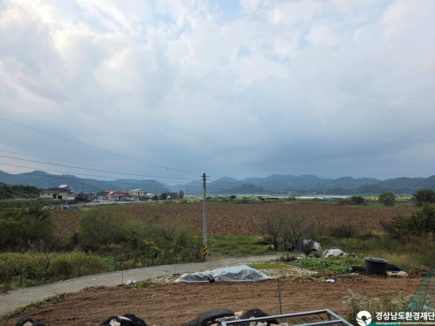 [악양습지/질날늪/평기늪] 습지 생태계 변화 조사-2025. 10.