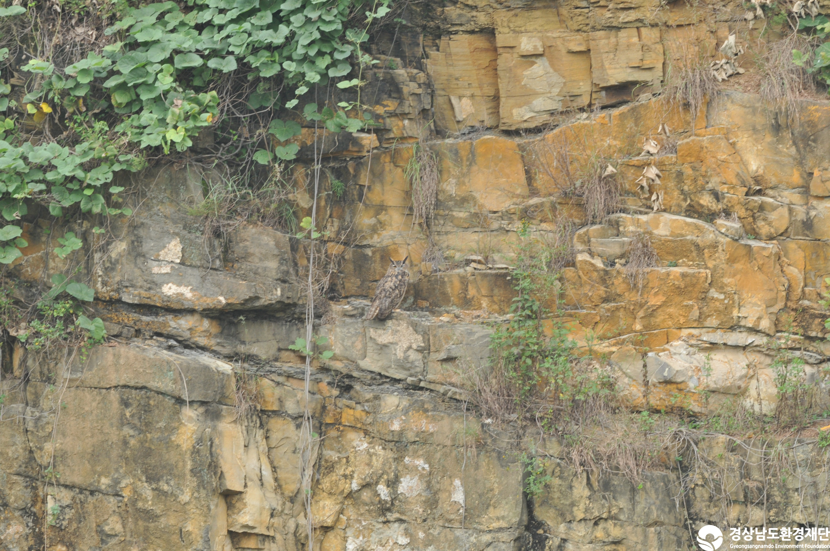 [섬진강하구] 습지 생태계 변화 조사-2025. 10.