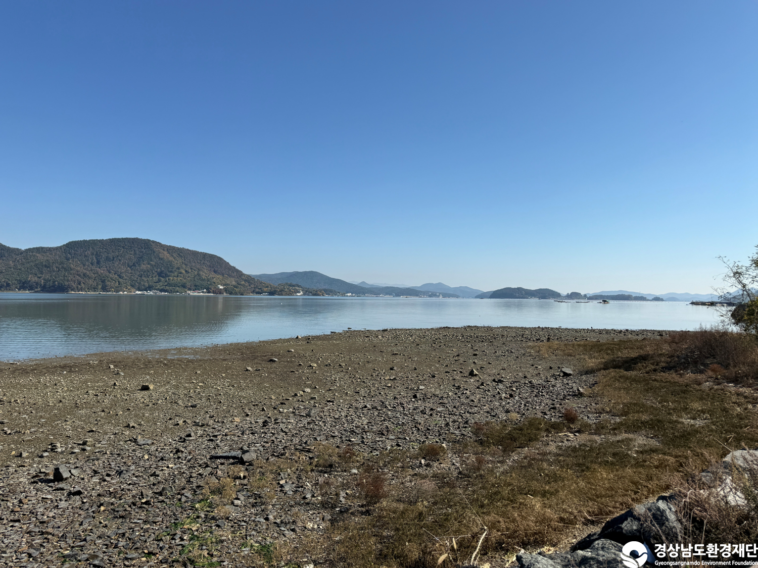 [진동만/창포만] 습지 생태계 변화 조사-2025. 11.