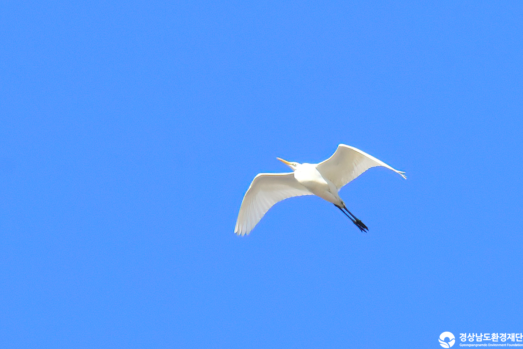 [정양늪] 습지 생태계 변화 조사-2025. 12.
