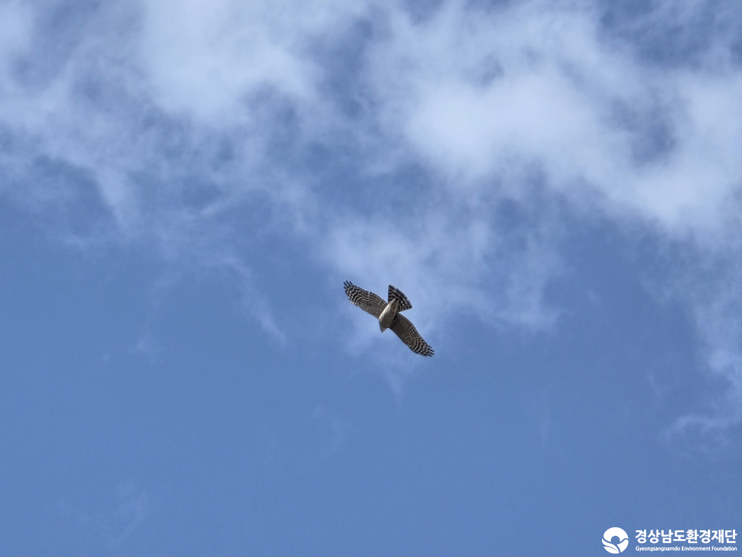 [악양습지/질날늪/평기늪] 습지 생태계 변화 조사-2026. 1.