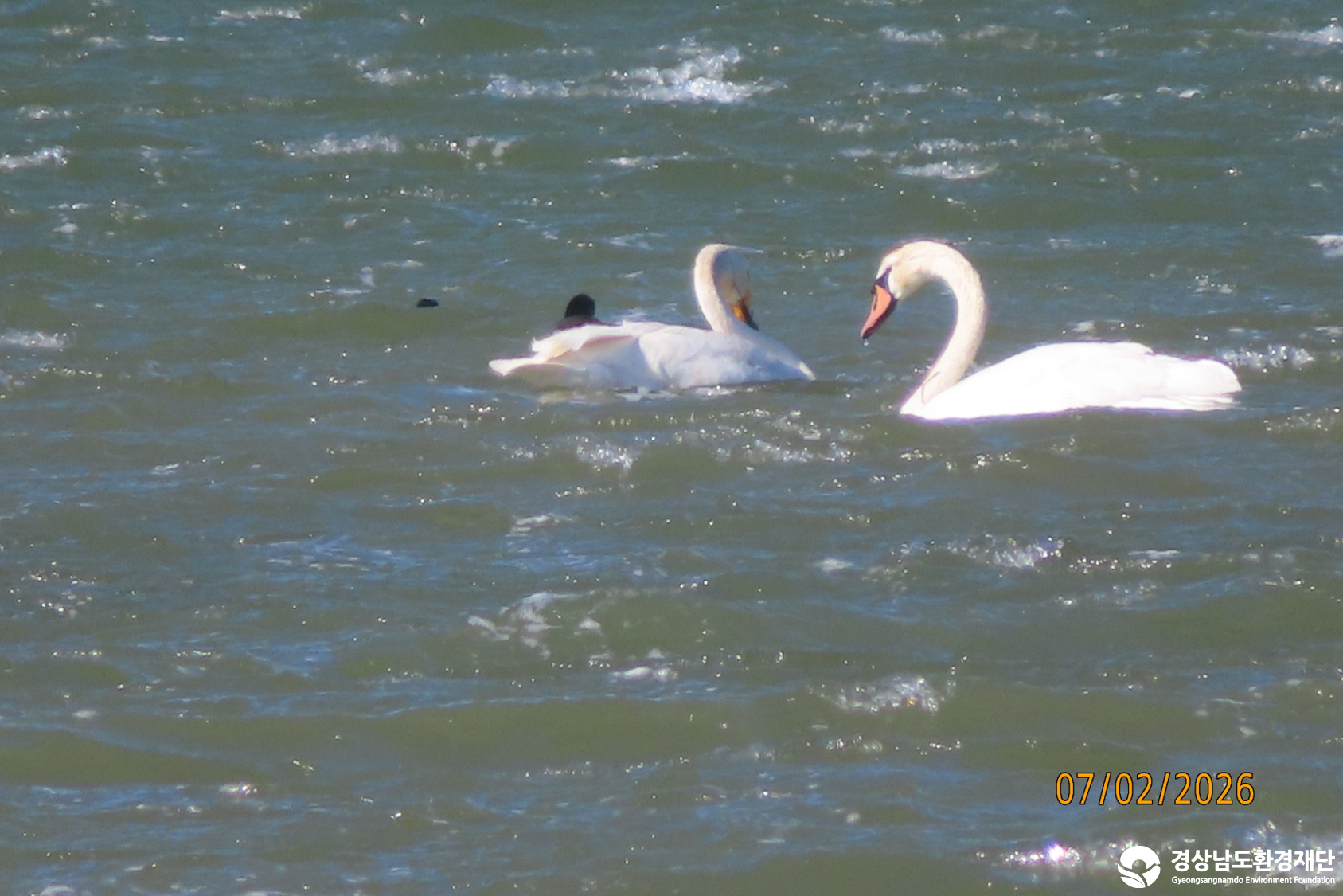 [섬진강하구] 습지 생태계 변화 조사-2026. 2.