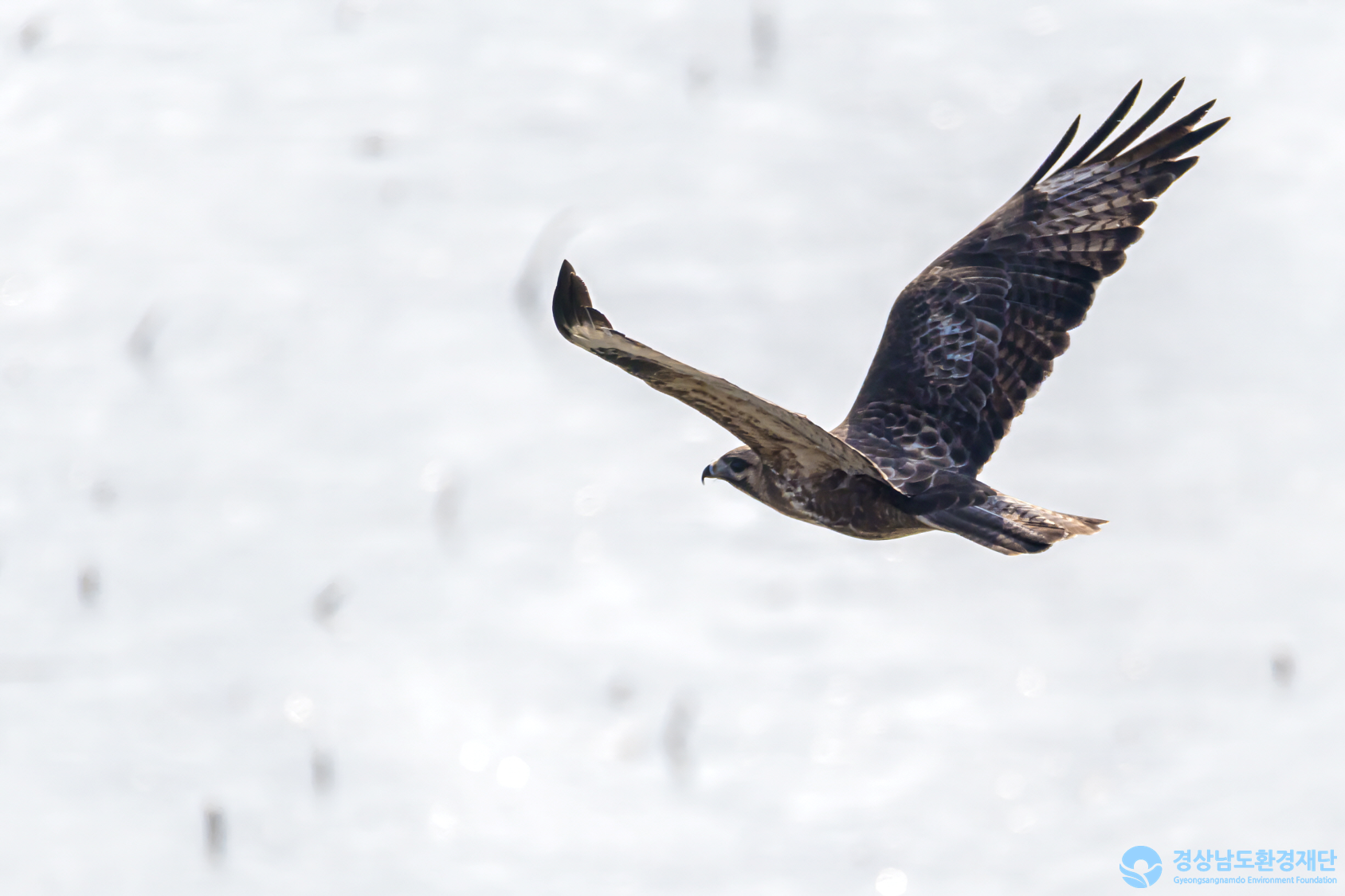 [정양늪] 습지 생태계 변화 조사-2026. 2.