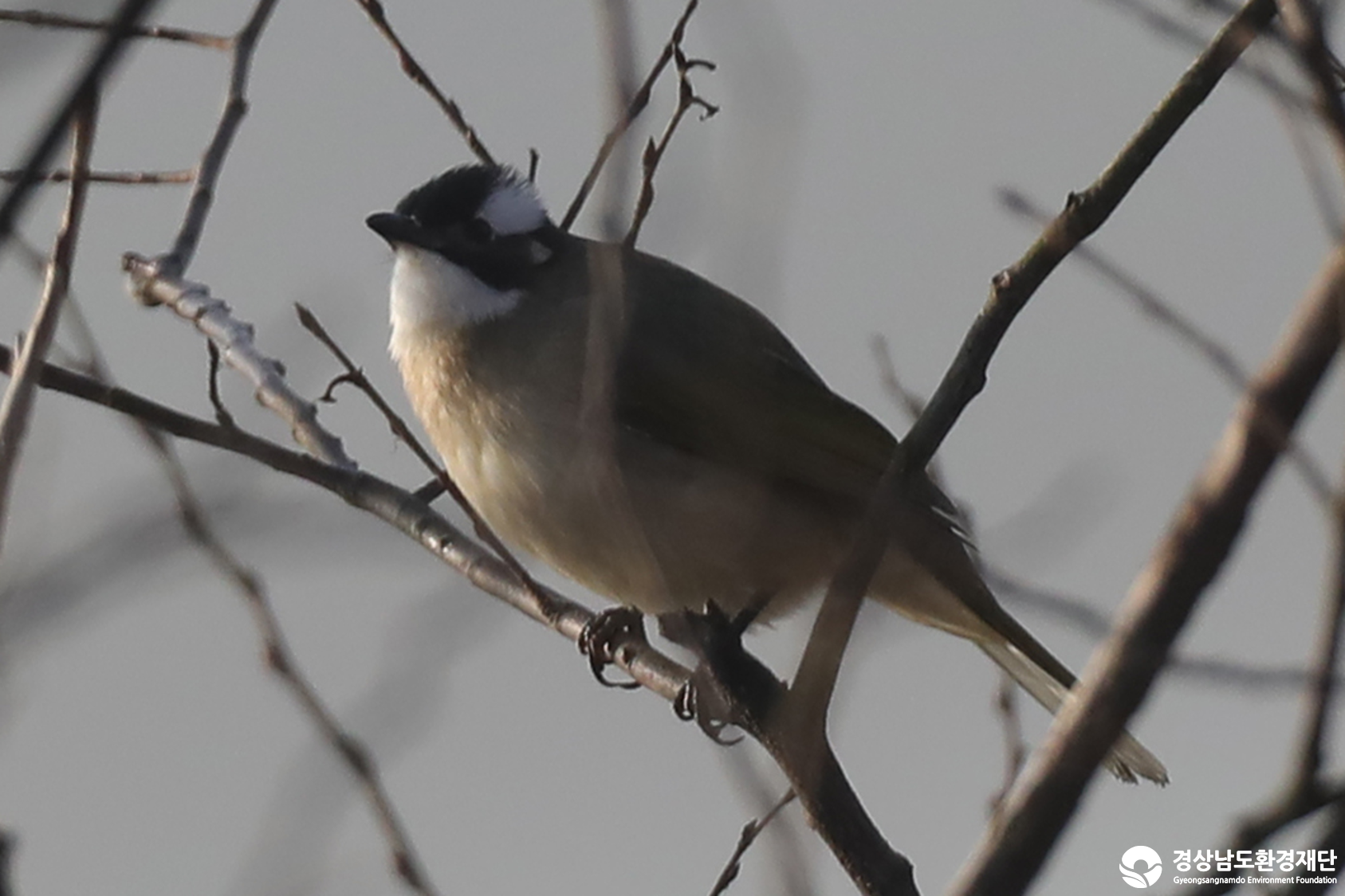 [남해강진만] 습지 생태계 변화 조사-2026. 2.