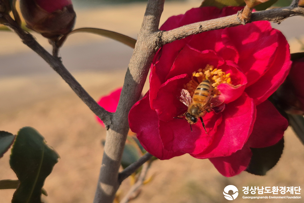2026년 시민환경과학자 모니터링(2월) - 육상곤충