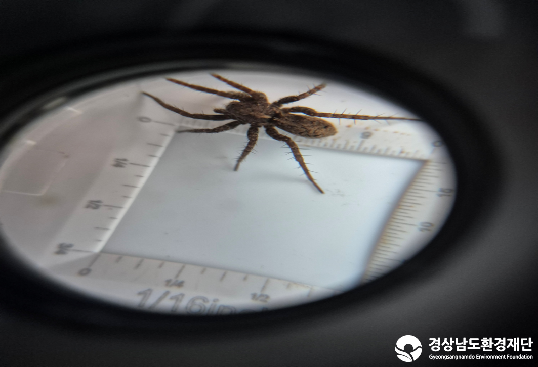 2026년 시민환경과학자 모니터링(2월) - 육상곤충