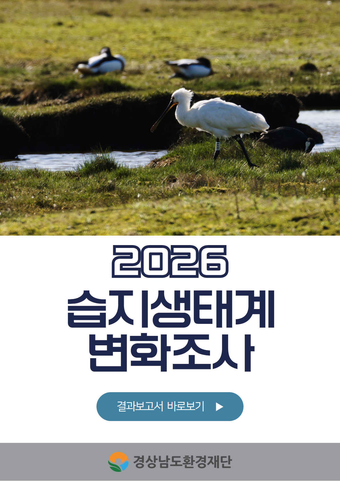2026습지생태계 변화조사